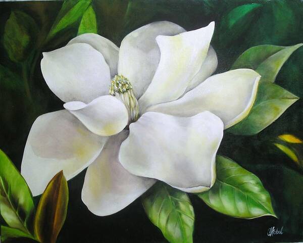 Flower Poster featuring the painting Magnolia Oil Painting by Chris Hobel