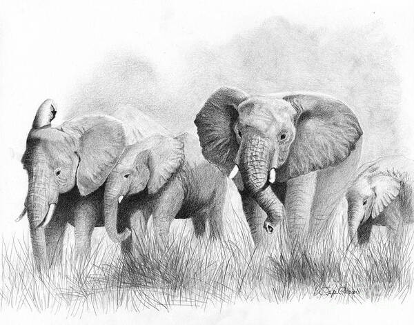 Elephants Poster featuring the drawing Mama Says by Phyllis Howard
