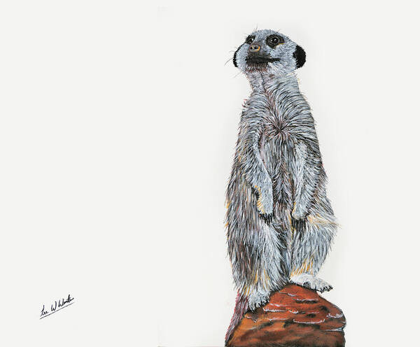 Meerkat Poster featuring the painting Meer Curiosity by Lee Winter