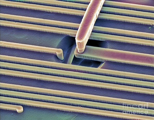 Science Poster featuring the photograph Microchip, Sem by Gary D Gaugler