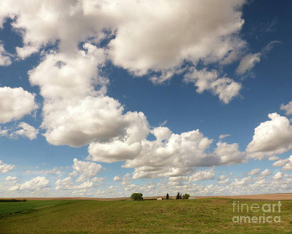 Montana Poster featuring the photograph Montana skyscape 4 by Paula Joy Welter