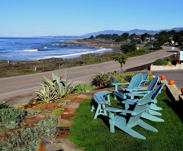 Moonstone Beach Seat With A View Poster featuring the photograph Moonstone Beach Seat With a View by Barbara Snyder