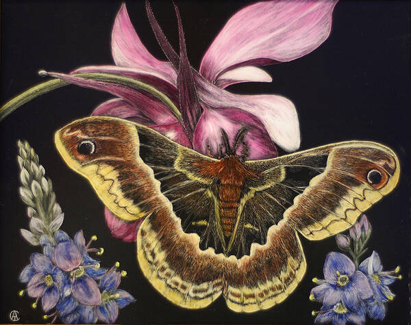 Moth Poster featuring the painting Moth by Angie Cockle