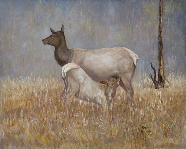 Animal. Wildlife. Elk. Mother And Baby. Nature Poster featuring the painting Mother Nature by Sharon Karlson