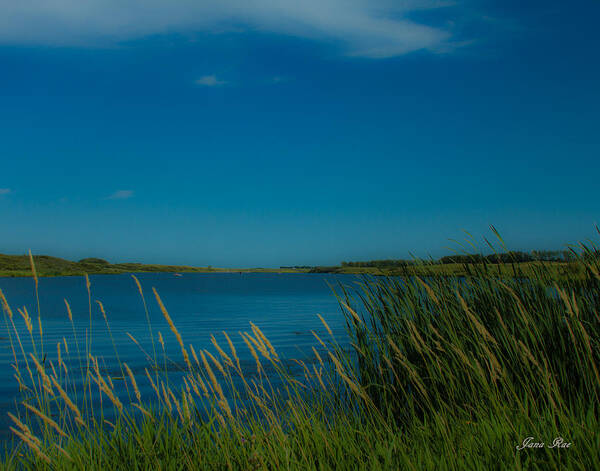 Water Poster featuring the photograph Mount Carmel 1 by Jana Rosenkranz