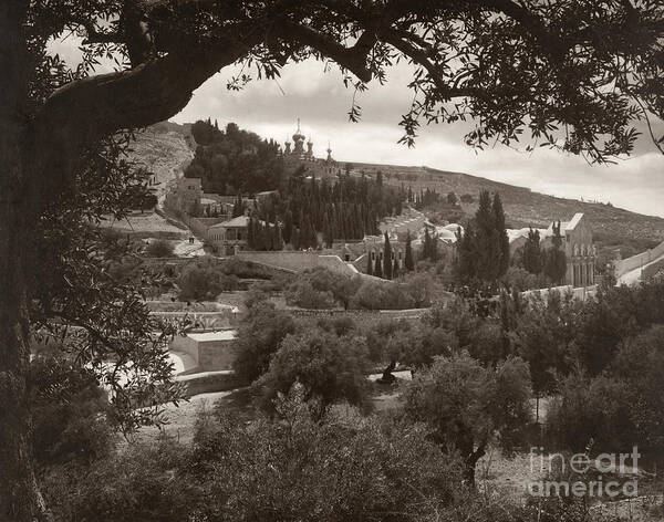 1930 Poster featuring the photograph Mount Of Olives by Granger