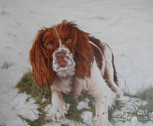 Dog Poster featuring the painting Muttley-The best springer spaniel by Pauline Sharp