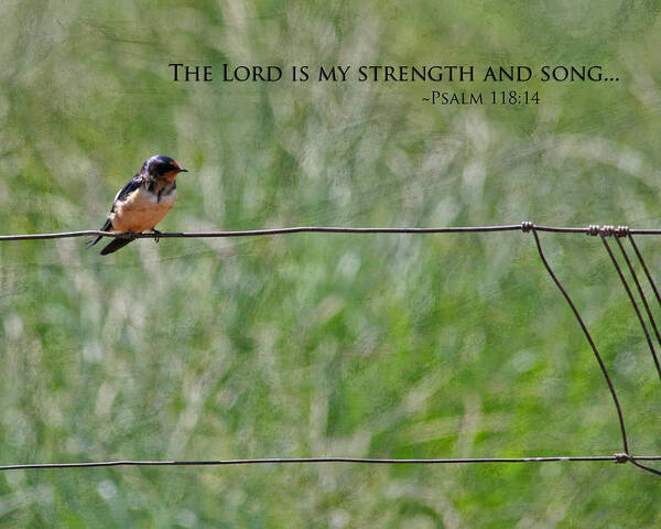 Nature Poster featuring the photograph My Strength by Bonnie Bruno