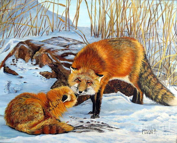 Red Fox Poster featuring the painting Natures Submission by Marilyn McNish