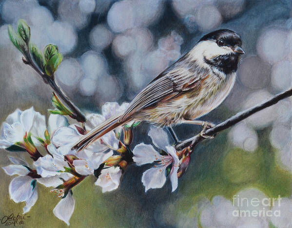 Chickadee Poster featuring the painting Awake by Lisa Clough Lachri