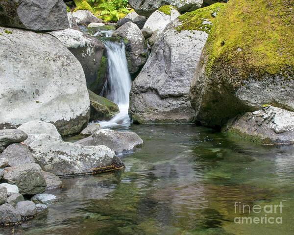 Waterfalls Poster featuring the photograph Nickel Creek 1019 by Chuck Flewelling