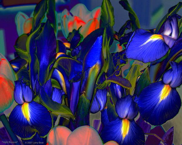 Iris Poster featuring the digital art Night Bouquet by Larry Beat