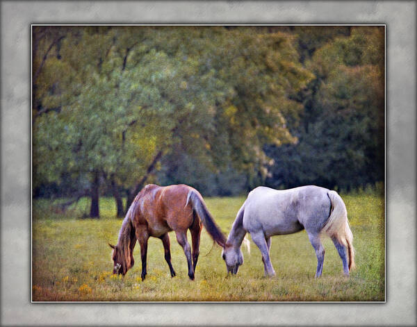 Ok Horse Ranch Poster featuring the photograph Ok Horse Ranch_2b by Walter Herrit