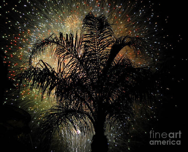 Fireworks Poster featuring the photograph Palm Tree Fireworks by David Lee Thompson