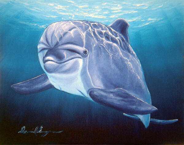 Dolphin Poster featuring the painting Peaceful Greeting by Daniel Bergren