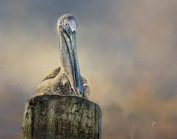 Pelicans Poster featuring the photograph Pelican In Paradise by TK Goforth