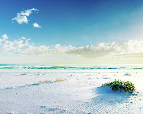 Landscape Photography - Pensacola Beach On A Sunny Day Poster featuring the photograph Pensacola Beach by Cody Meadows