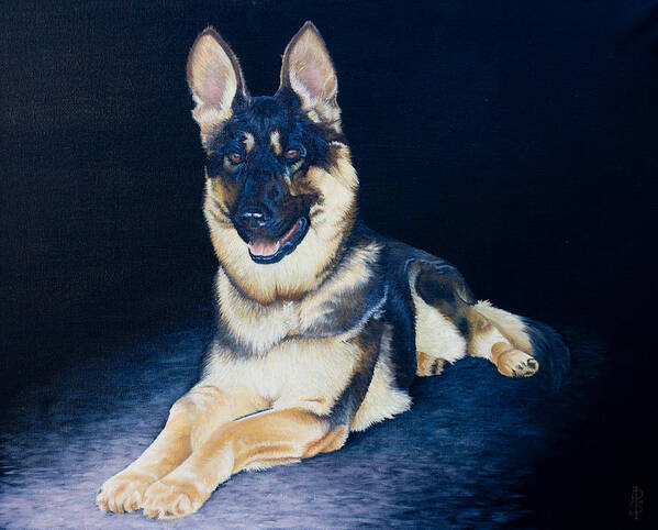 Dog Poster featuring the painting Pet commission-Shaka by Pauline Sharp