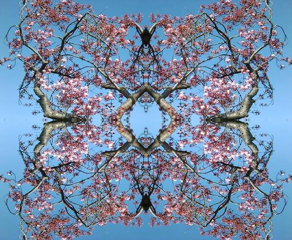 Pink Poster featuring the photograph Pink Blossom Mandala by Julia Woodman