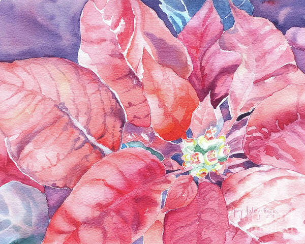 Poinsettia Poster featuring the painting Poinsettia Glory by Mary Haley-Rocks