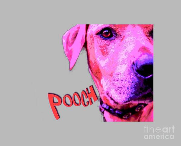 Pooch Poster featuring the photograph Pooch by Mim White