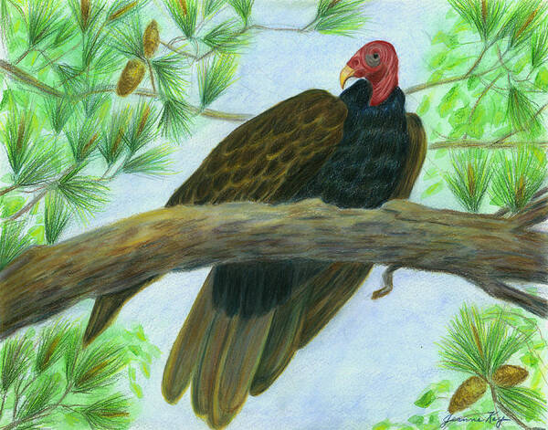 Turkey Vulture Poster featuring the painting Pretty Redhead Turkey Vulture by Jeanne Juhos