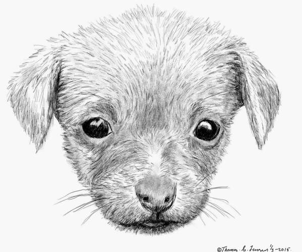 Sketch Poster featuring the digital art Puppy by ThomasE Jensen