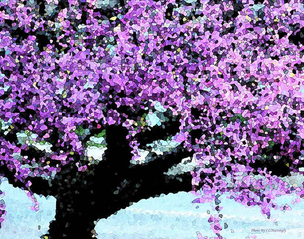 Wall Décor Poster featuring the photograph Purple Tree by Coke Mattingly