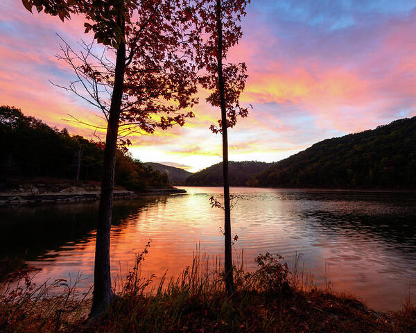 Fall Poster featuring the photograph Red Autumn by Michael Scott