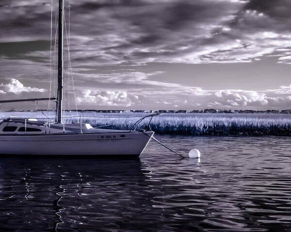 Boat Poster featuring the photograph Sailboat 04 by Hayden Hammond