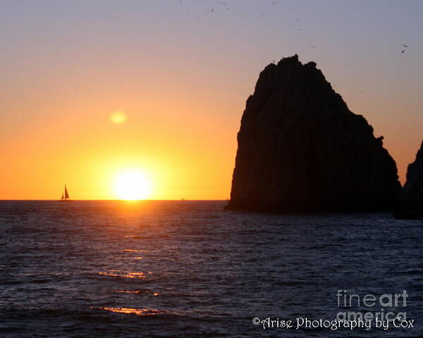 Cabo Poster featuring the photograph Sailboat in the sunset Cabo San Lucas Mexico by Charlene Cox