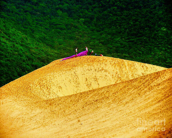 Sand Dune Poster featuring the photograph Sand Dune Fun by Metaphor Photo