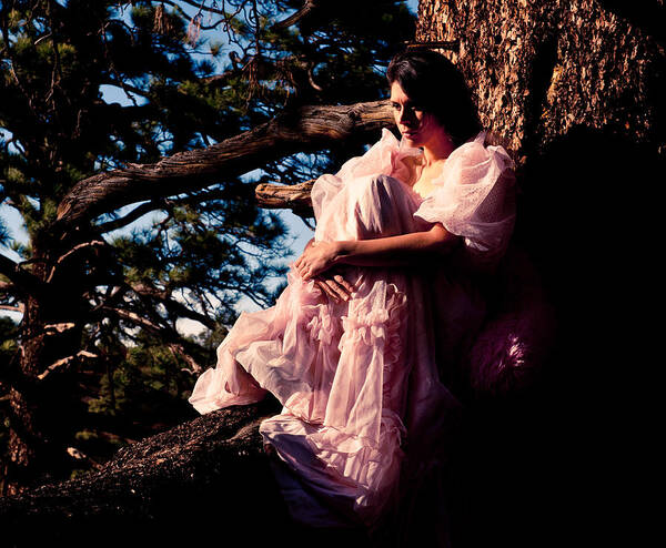 Pink Dress Poster featuring the photograph Sitting in a tree by Scott Sawyer