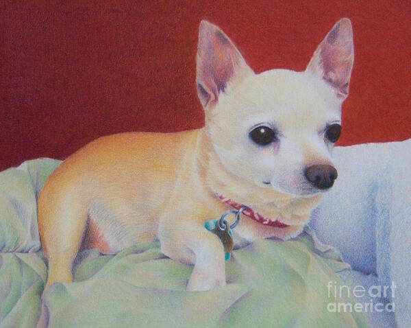 Dog Poster featuring the painting Small Package by Pamela Clements