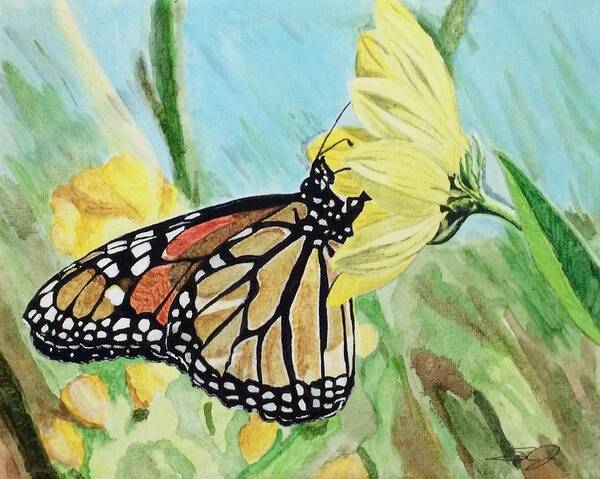 Butterfly Poster featuring the painting Spring colors by Sonja Jones