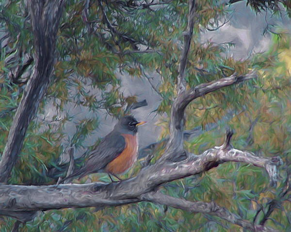 Animals Poster featuring the digital art Spring Morning Robin DA by Ernest Echols