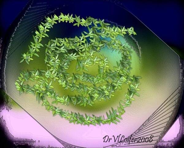 Glass.plate.leaves.salad.light.shadow.dish.kitchen.beauty.spring. Poster featuring the digital art Spring salad on glass plate by Dr Loifer Vladimir