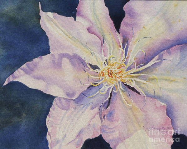 Clematis Poster featuring the painting Star Shine by Mary Haley-Rocks
