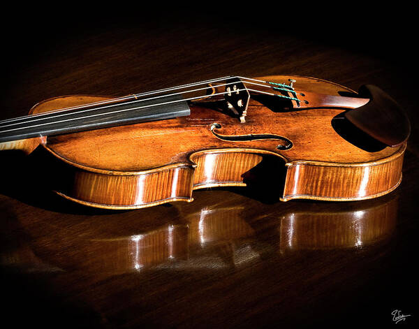 Strad Poster featuring the photograph Stradivarius in Sunlight by Endre Balogh