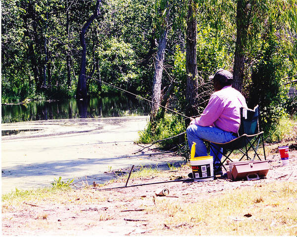 Swamps Poster featuring the photograph Swamp fishing by Michelle Powell