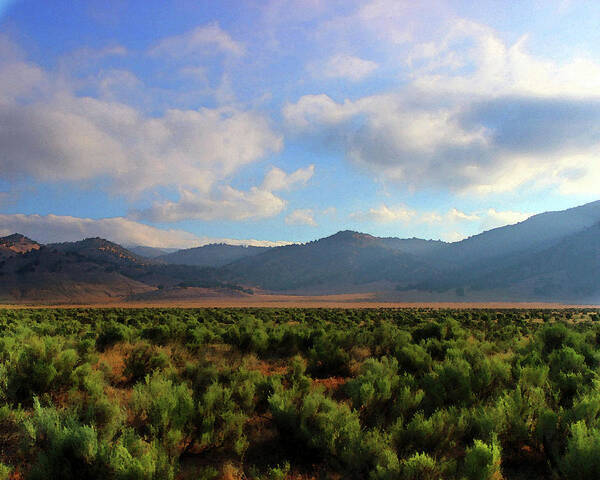 Tehachapi Poster featuring the photograph Tehachapi Mountains 2 by Timothy Bulone