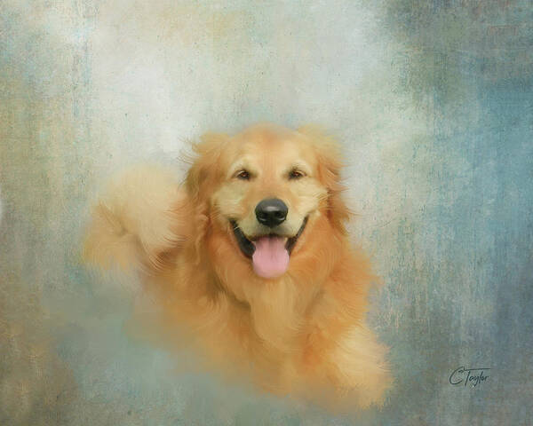Golden Retriever Poster featuring the mixed media The Golden by Colleen Taylor
