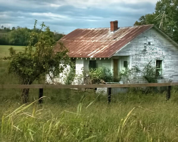 Abandoned Poster featuring the photograph The Old Homestead by Jolynn Reed