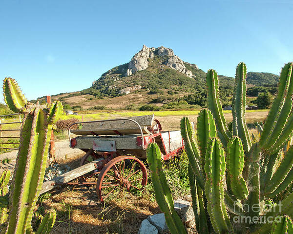 Old Wagon Poster featuring the photograph The Old Wagon and Cactus patch in front of one of the Seven Sisters in San Luis Obispo California by Artist and Photographer Laura Wrede