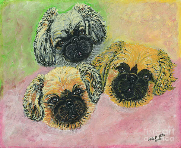 Pekingese Poster featuring the painting Three Amigos by Ania M Milo