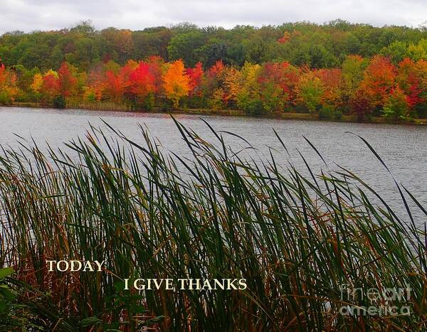 Nepa Poster featuring the photograph Today I give thanks by Christina Verdgeline