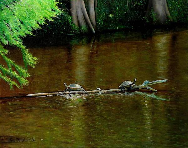 Doug Strickland Poster featuring the painting Turtle Log Spa by Doug Strickland
