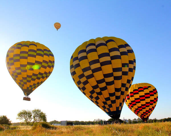 Hot Air Balloons Poster featuring the photograph Up Up and Away by Steve Natale