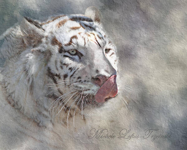 Bengal Poster featuring the digital art White Bengal Tiger by Michele A Loftus