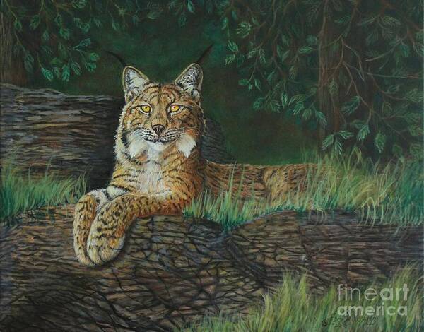 Lynx Poster featuring the painting The Ever Watchful Lynx by Bob Williams